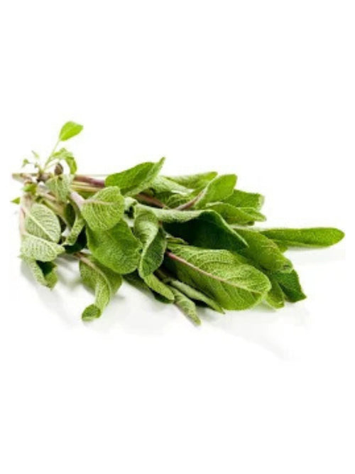 Ghana Fresh Sage Leaves 40G