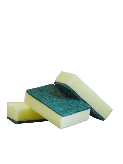 Standard Sponge X10