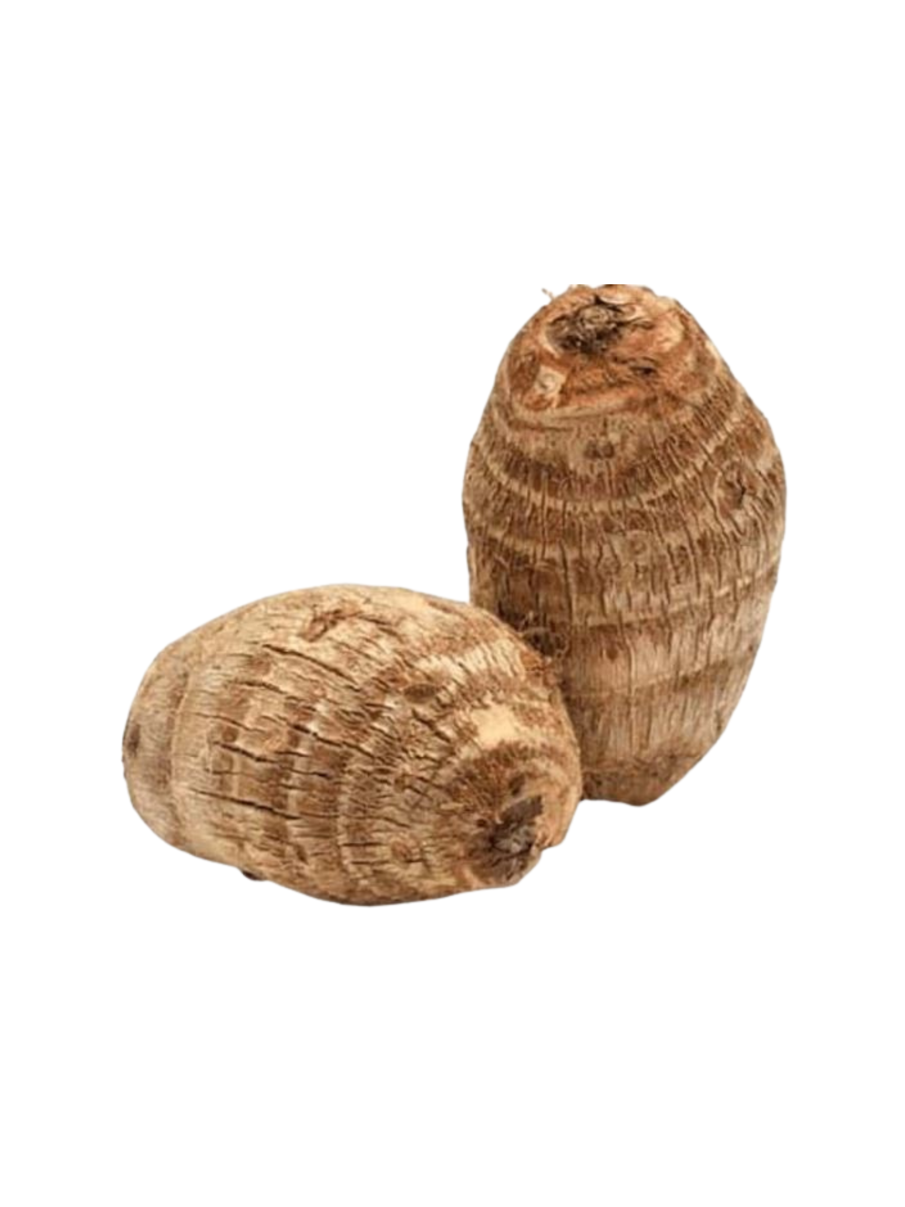 CocoaYam