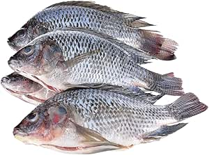 Gutted Scaled Tilapia