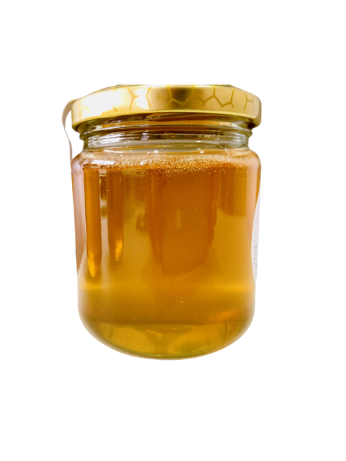 Loyem Foods Pure Raw Honey 700G