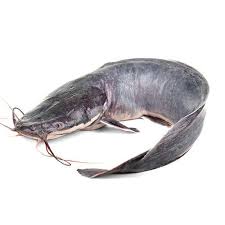 Catfish Head 150G