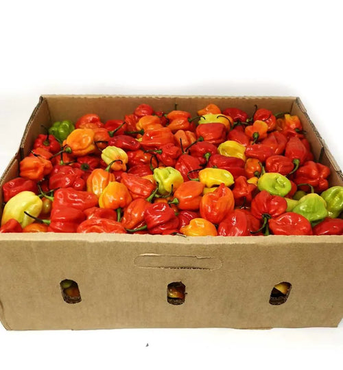Red Pepper Box