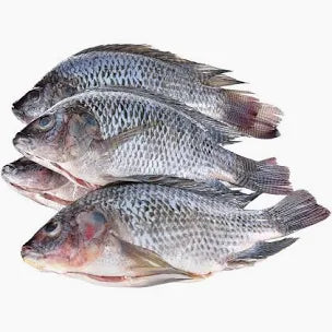 Head On Gutted Scaled Tilapia