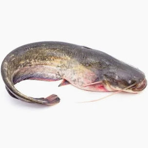 As Frozen Whole Catfish Gutted 2.5Kg