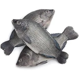 Gutted Scaled Tilapia 300-500gm