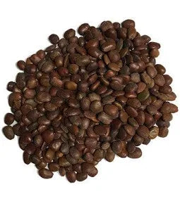 GD Frozen Locust Beans Iru 100G